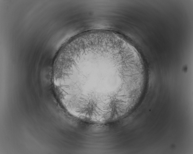 X0000115661314200912241350