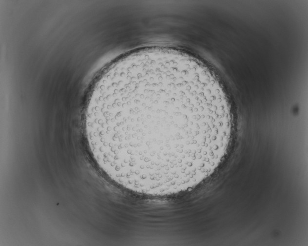 X0000115661315200912241350