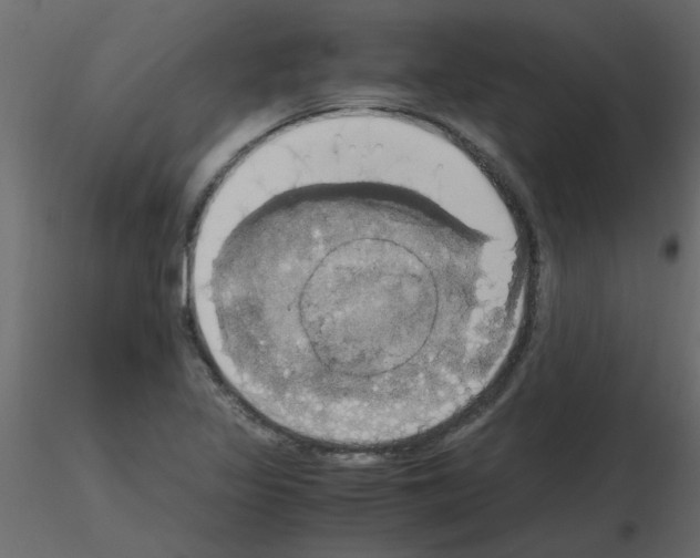 X0000115661317200912241350