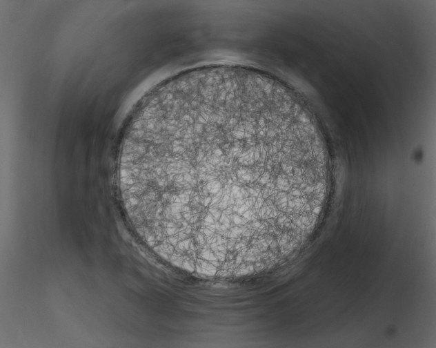 X0000115661318200912241350