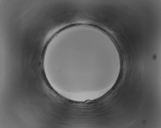 X0000115661319200912241350