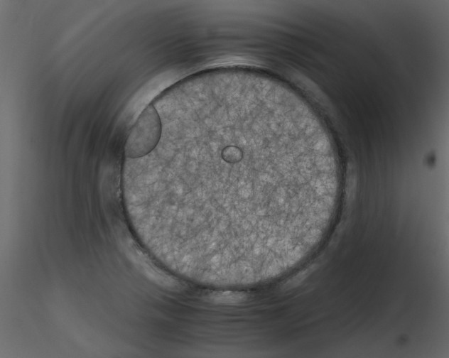 X0000115661321200912241350