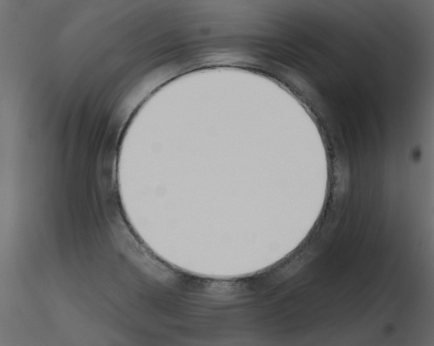 X0000115661322200912241350