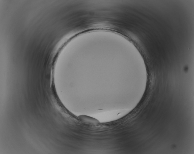 X0000115661323200912241350