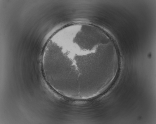 X0000115661325200912241350