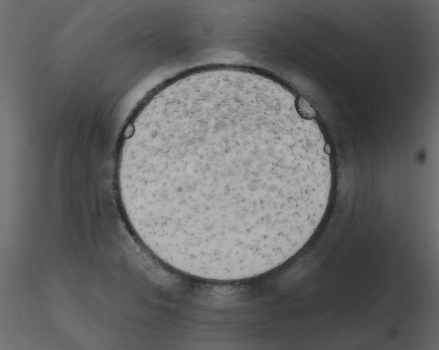 X0000115661326200912241350