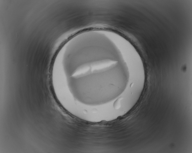 X0000115661327200912241351