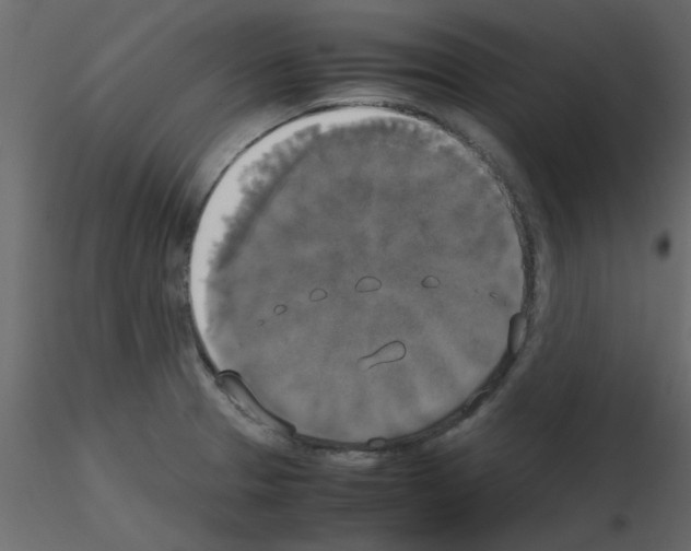 X0000115661329200912241351