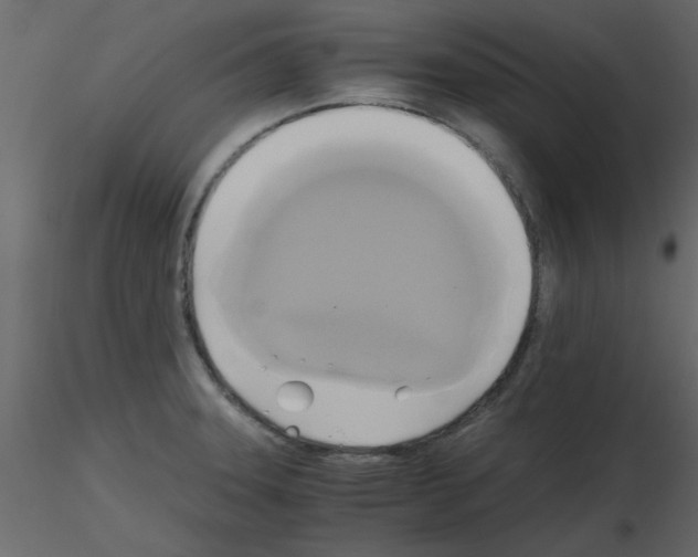 X0000115661331200912241351