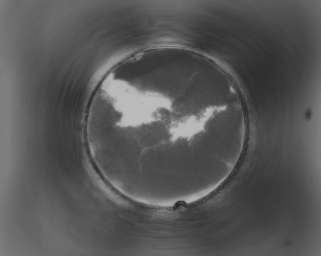 X0000115661333200912241351