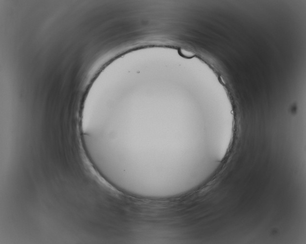 X0000115661334200912241351