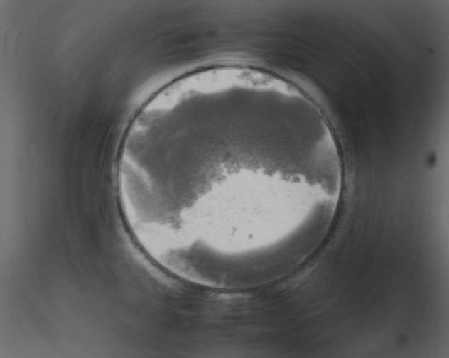 X0000115661335200912241351