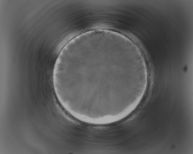 X0000115661337200912241351