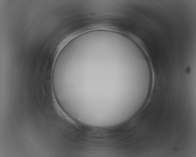 X0000115661338200912241351