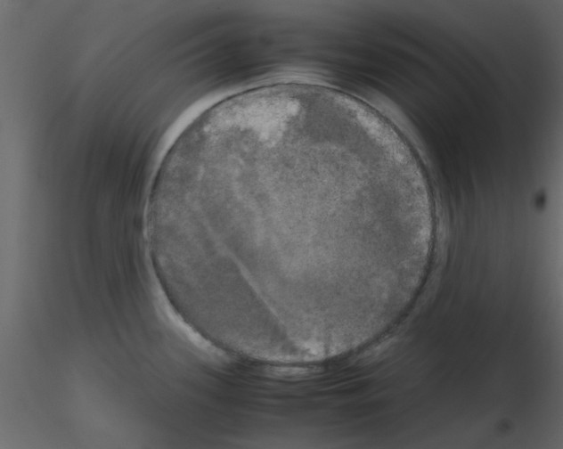 X0000115661339200912241351