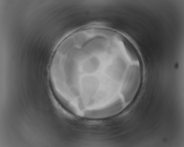 X0000115661341200912241351