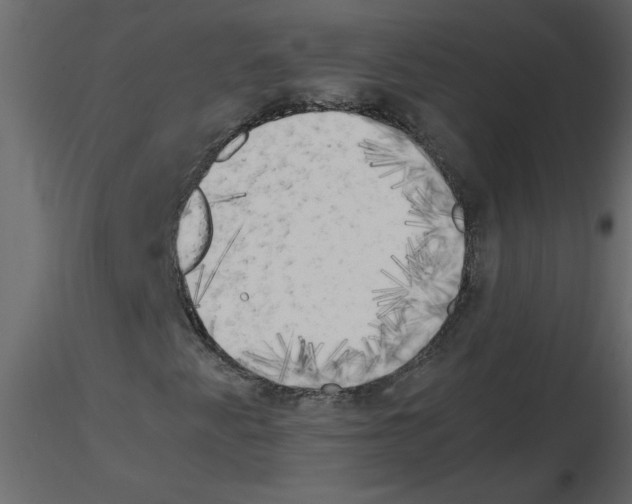 X0000115661345200912241350