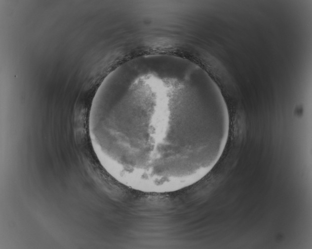 X0000115661346200912241350