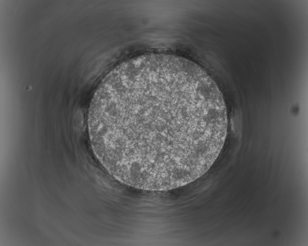 X0000115661347200912241350