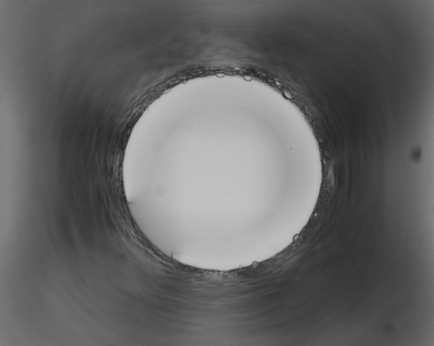 X0000115661348200912241350