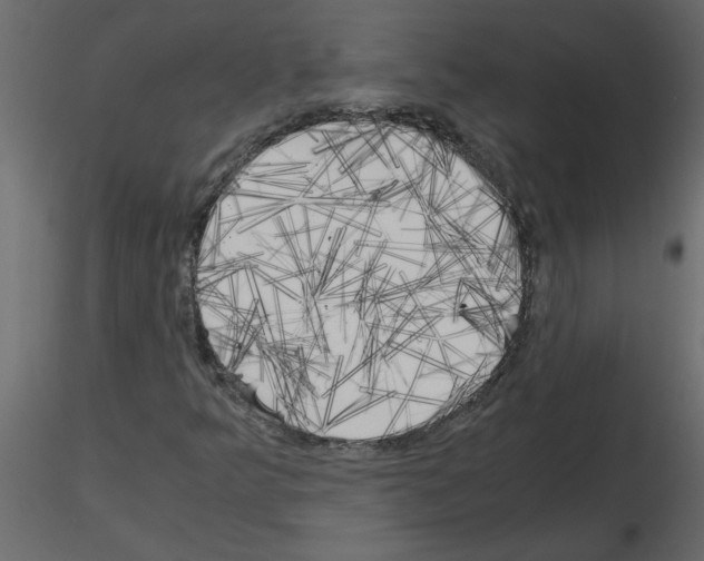 X0000115661349200912241350