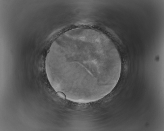 X0000115661350200912241350