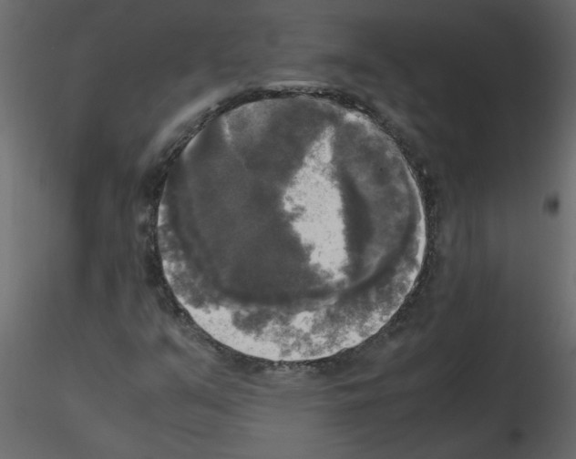 X0000115661351200912241350