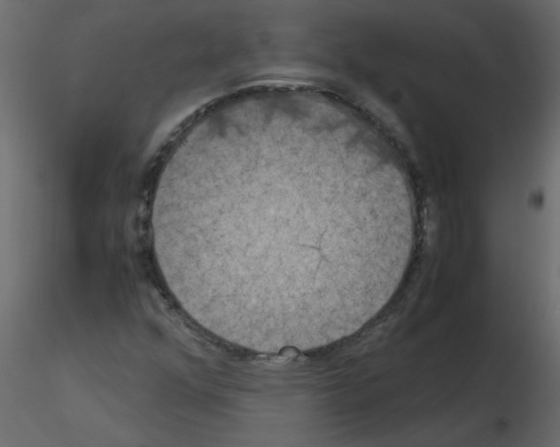 X0000115661352200912241350