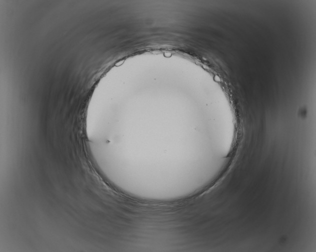 X0000115661353200912241350