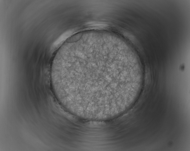 X0000115661354200912241350