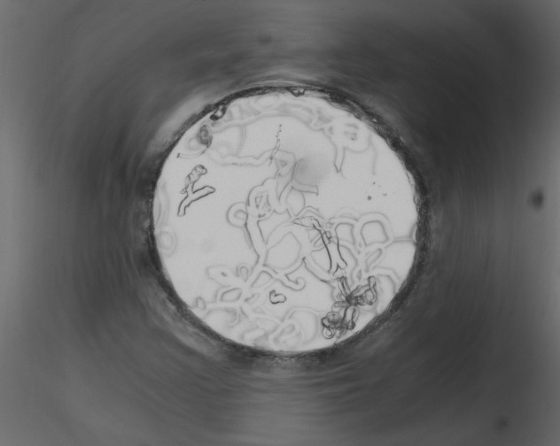 X0000115661355200912241350