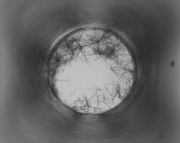 X0000115661356200912241350