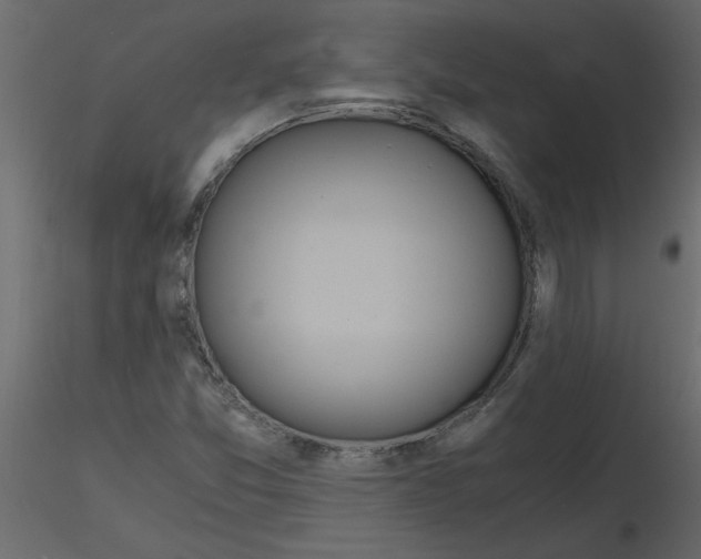 X0000115661357200912241350