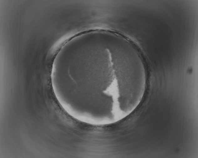 X0000115661359200912241350