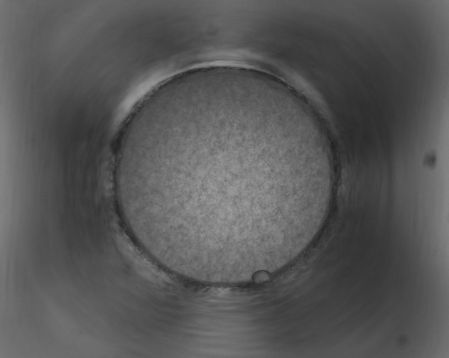 X0000115661360200912241350