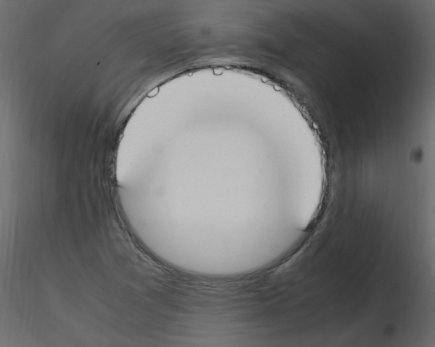 X0000115661361200912241350