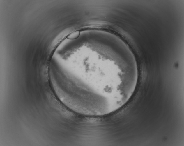 X0000115661362200912241350