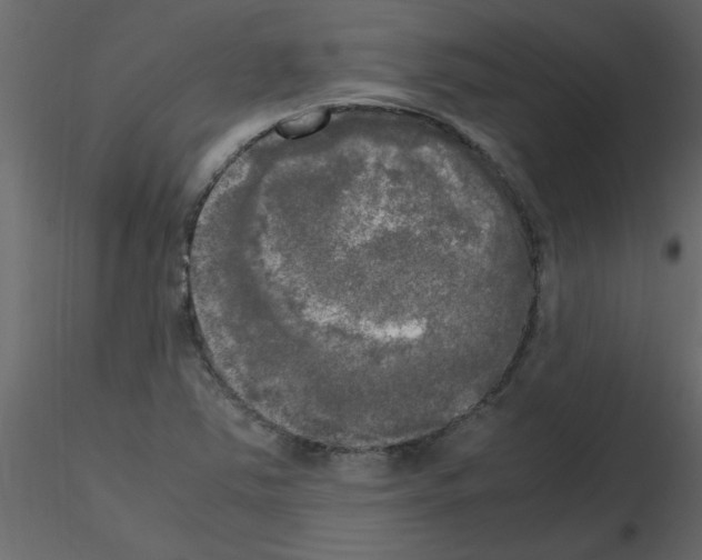 X0000115661363200912241350