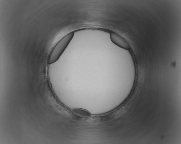 X0000115661365200912241350