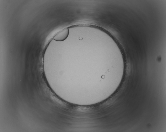 X0000115661366200912241350