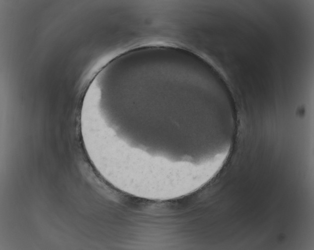 X0000115661367200912241350