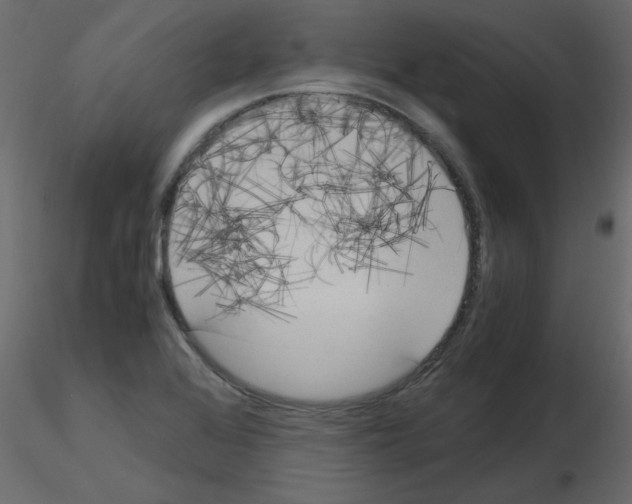 X0000115661368200912241350