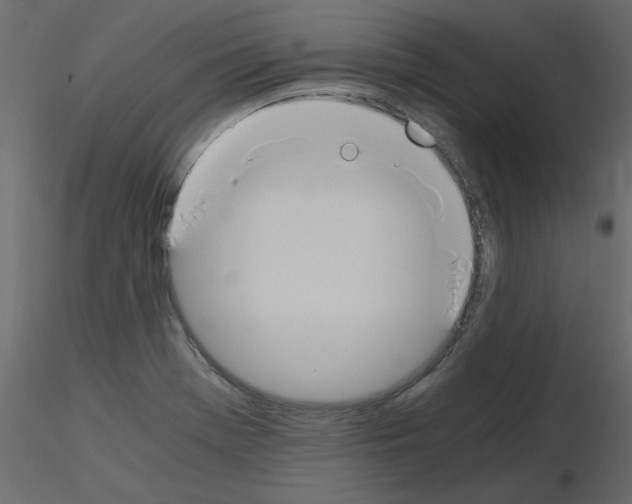 X0000115661369200912241350