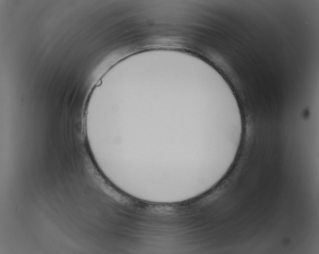 X0000115661370200912241350