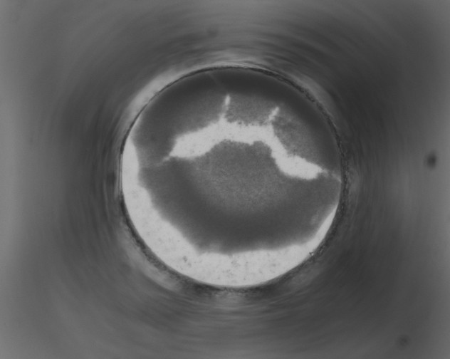 X0000115661371200912241350