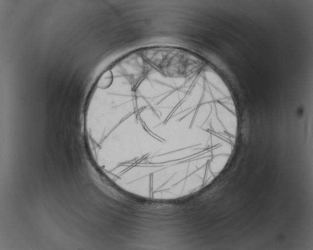 X0000115661372200912241350