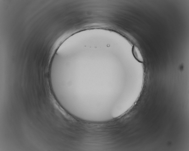 X0000115661373200912241350