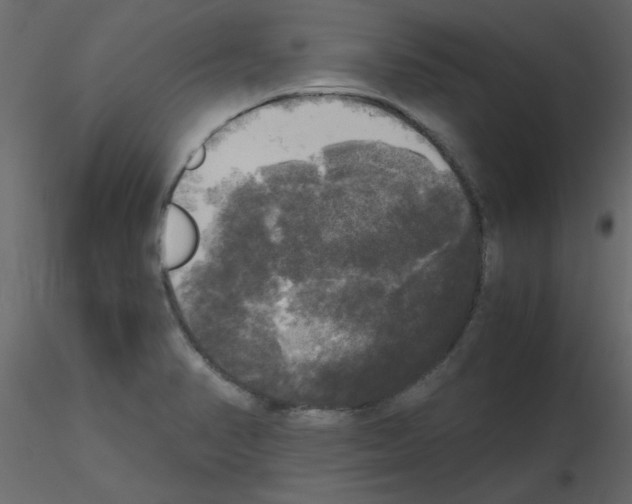 X0000115661374200912241350