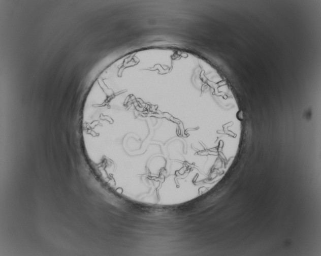 X0000115661375200912241350