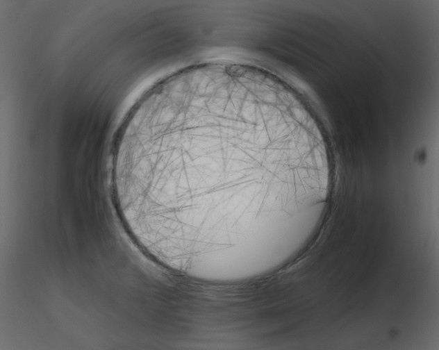 X0000115661376200912241350